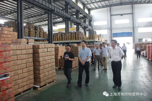 陳杰率隊(duì)調(diào)研上海芳甸生物科技 強(qiáng)調(diào)技術(shù)推廣與創(chuàng)新發(fā)展
