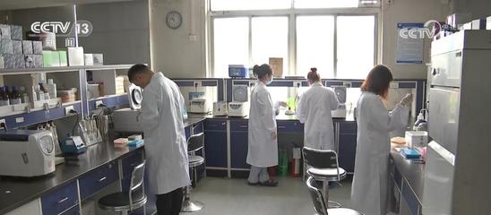 突破技術(shù)封鎖 '鏈主'引領(lǐng)生物技術(shù)產(chǎn)業(yè)鏈協(xié)同創(chuàng)新，助推'國產(chǎn)替代'加速度